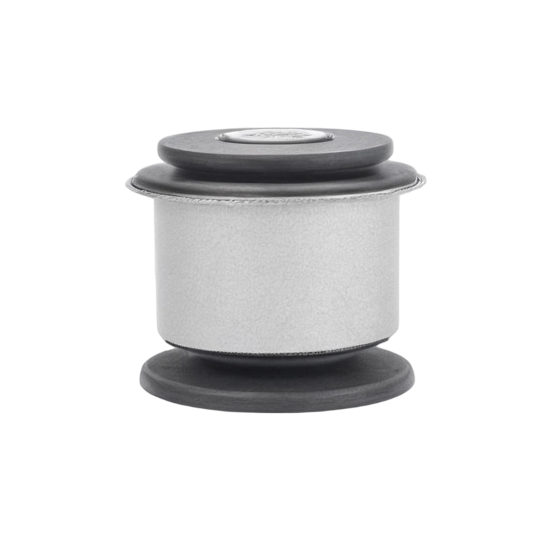 Mercedes-Benz (Import) Solution for Chassis Noises: Suspension Control Arm Bushings
