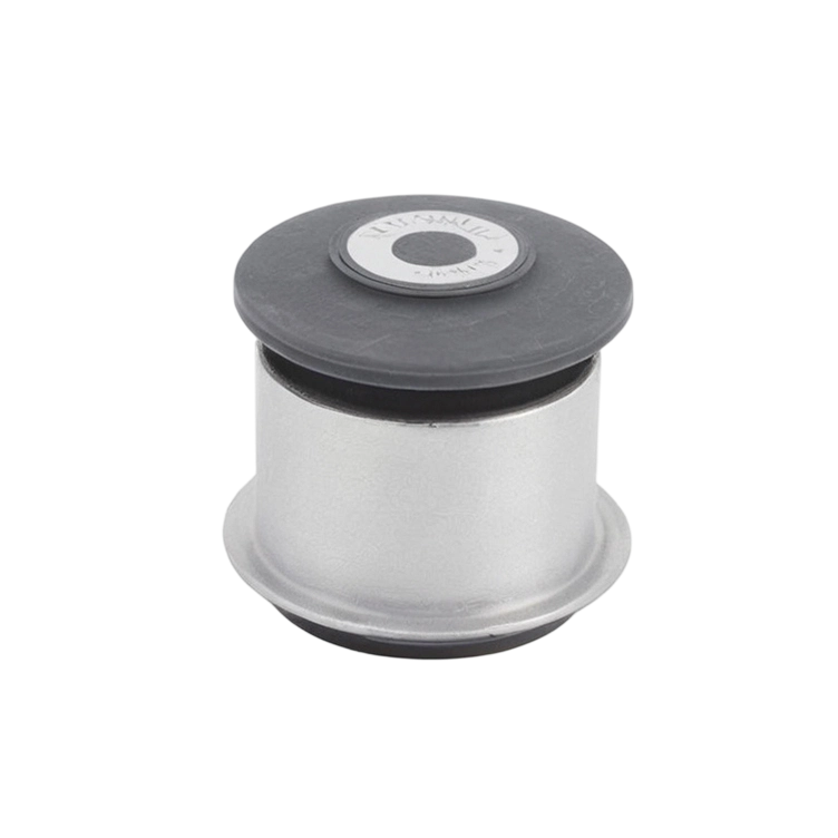Mercedes-Benz (Import) Solution for Chassis Noises: Suspension Control Arm Bushings
