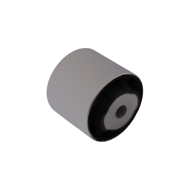 Differential Mount for Mercedes-Benz M Class
