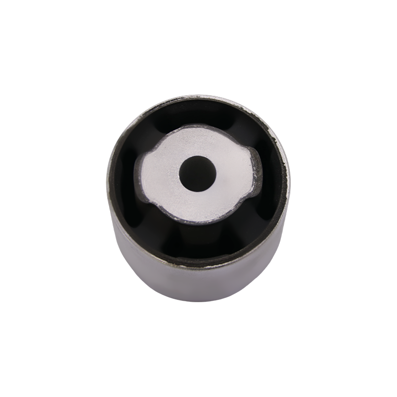 Differential Mount for Mercedes-Benz M Class