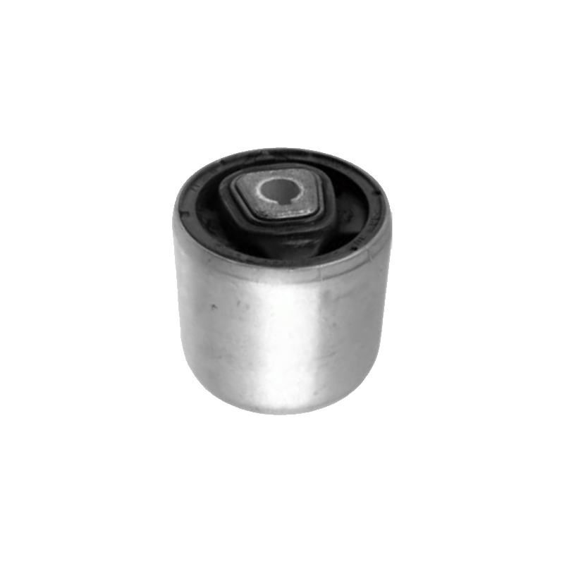 BMW Imported X1 Control Arm Bushing